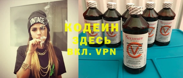 мдпв Заводоуковск