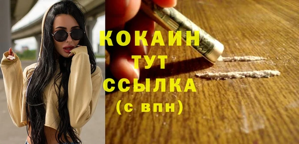 мдпв Заводоуковск